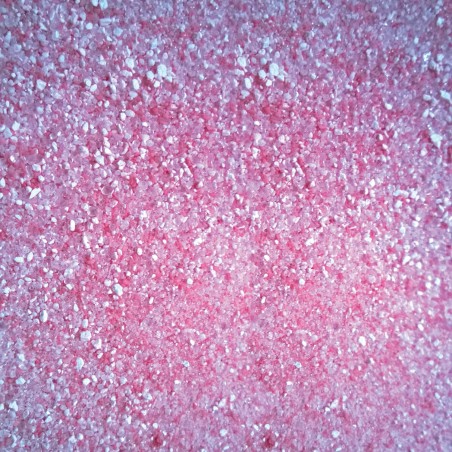 ANIPOWDER 500 g - Désinfectant bactéricide virucide en poudre