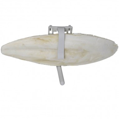 Os de seiche - Copyright Alp'Osmose - 004047